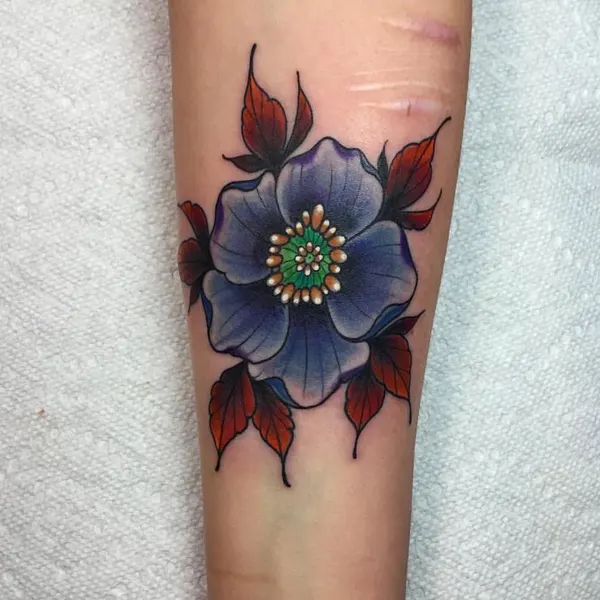 Flower, Rose, 국화