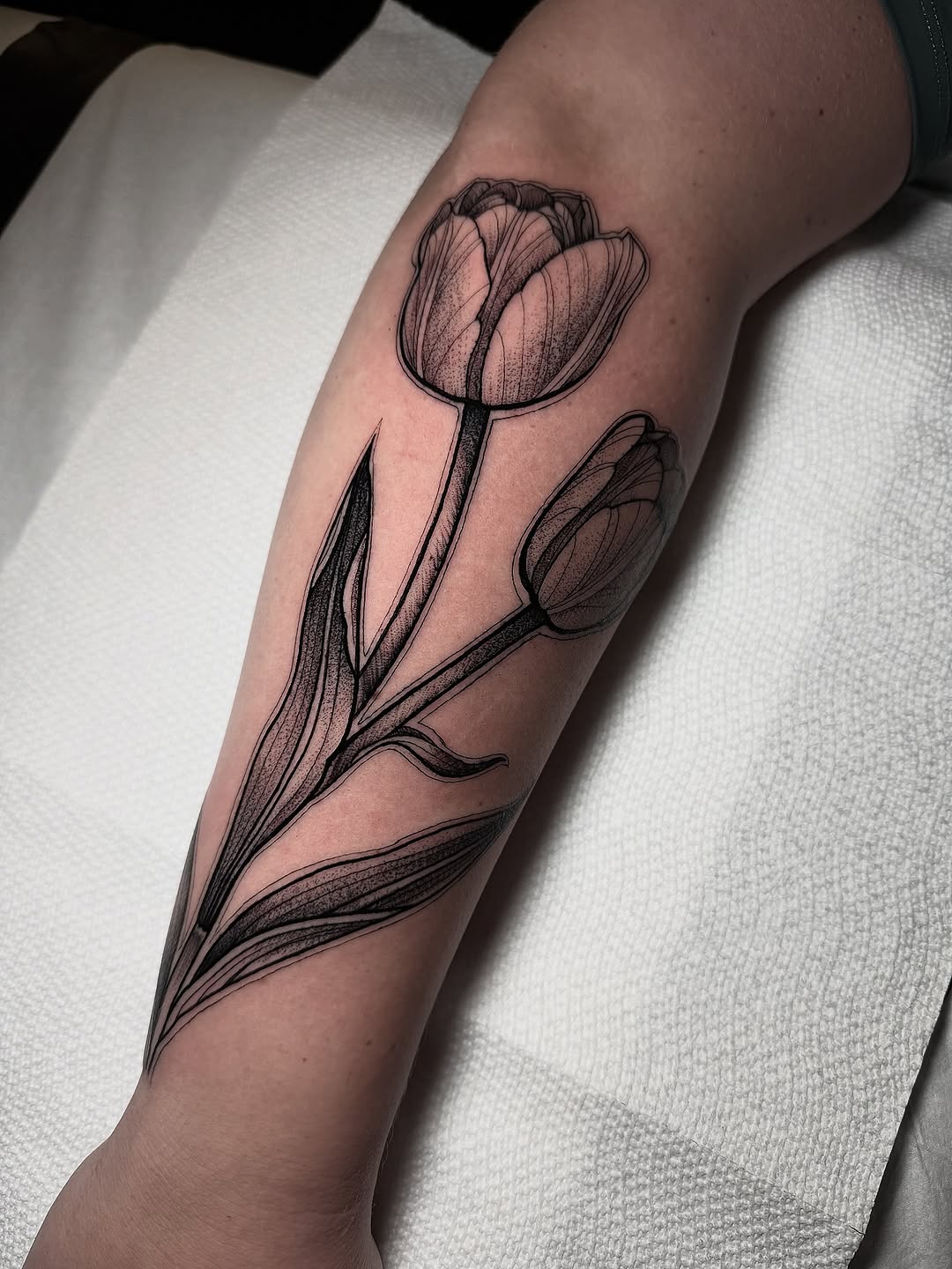 Flower, 튤립
