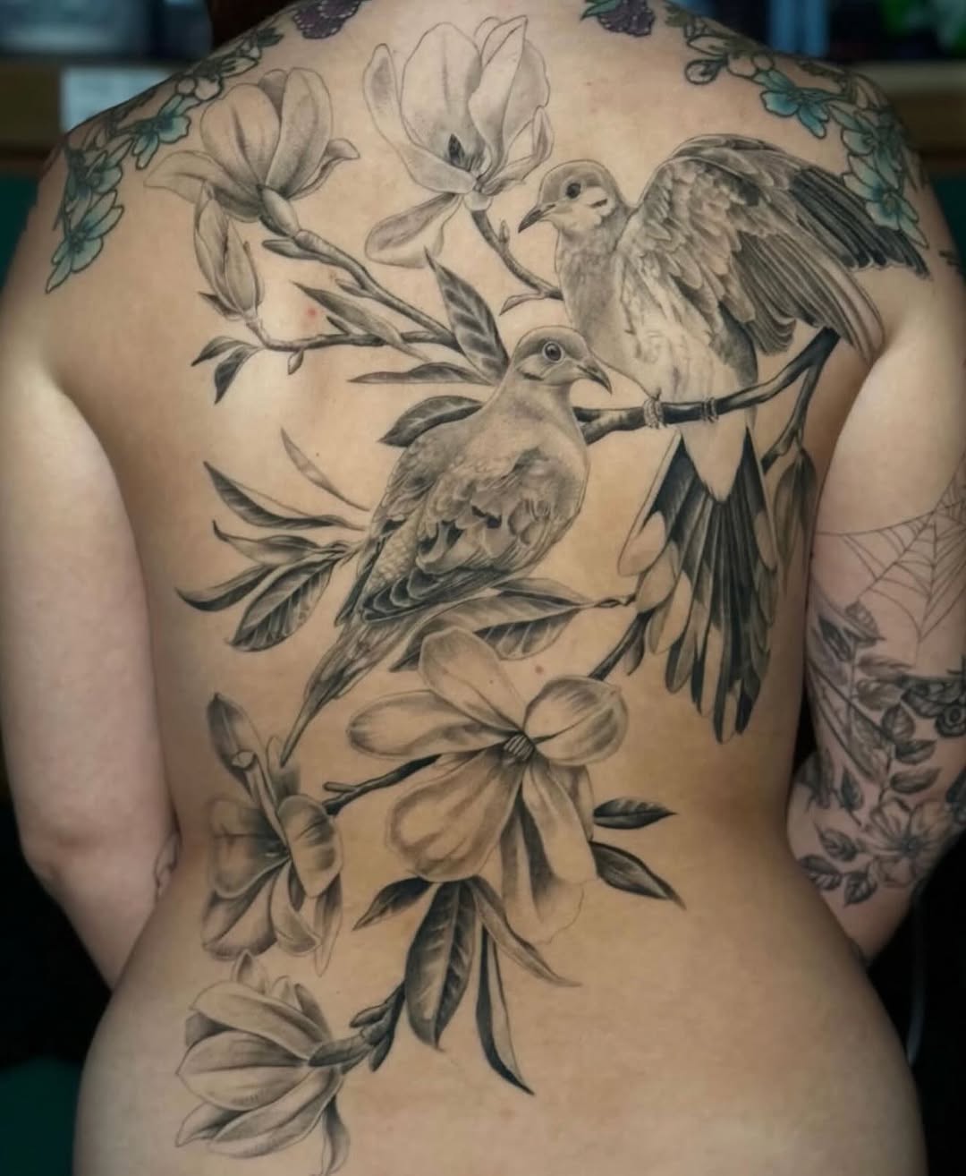 Flower, Rose, Nature