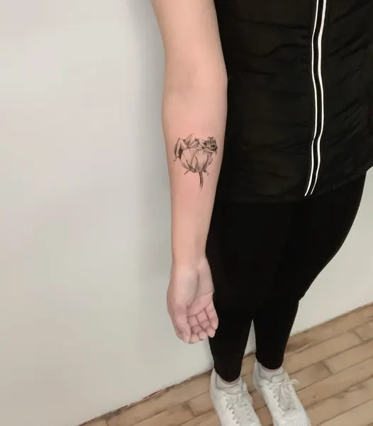 Flower, Rose