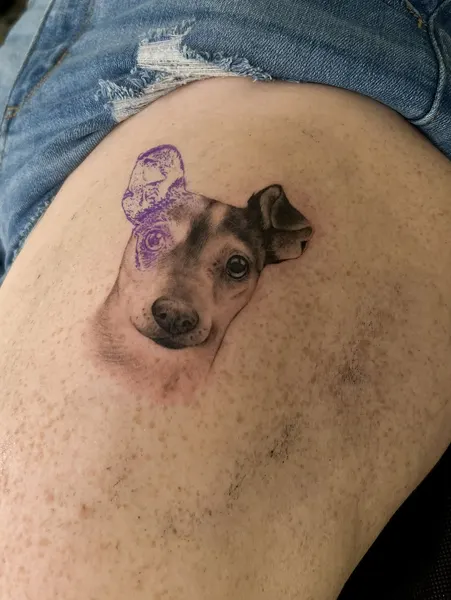 Animal