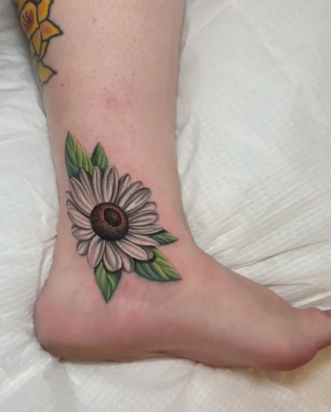 Flower, 데이지, 해바라기