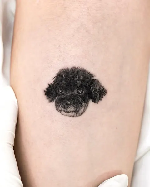 강아지