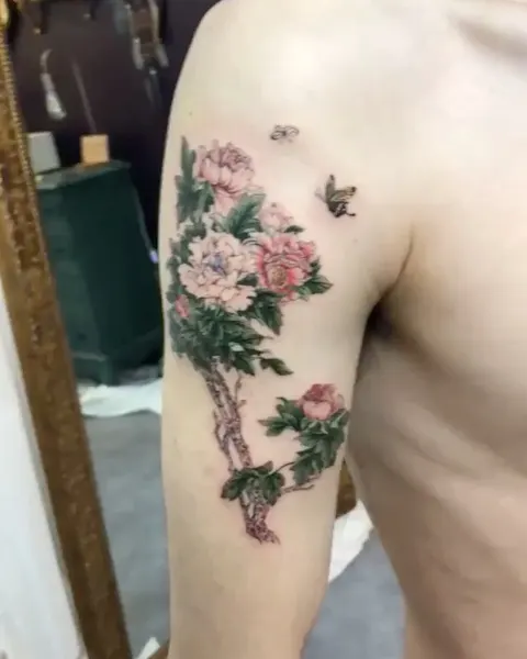 조개, 함사, 호수