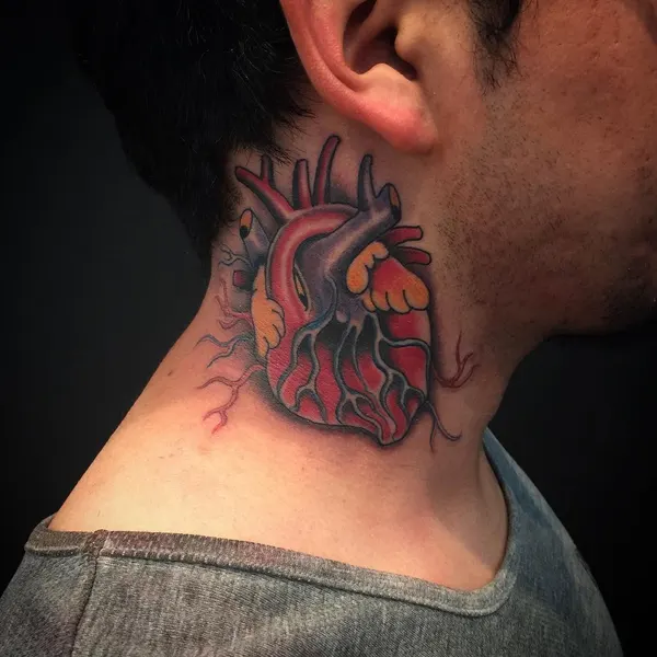 Dragon, 폐