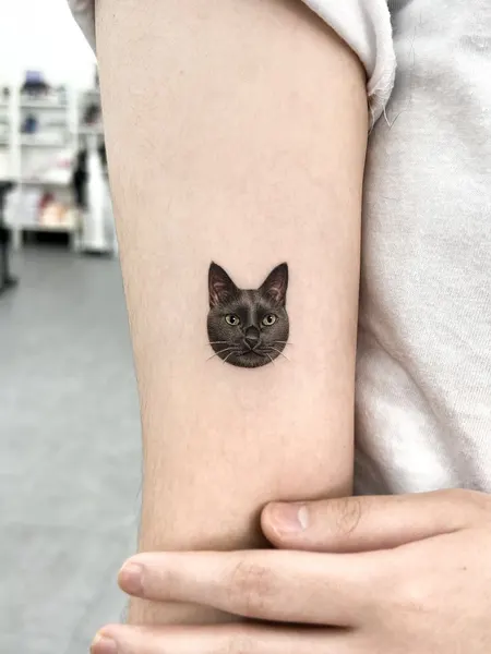 고양이, 여우 가면