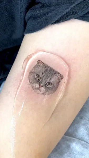 고양이