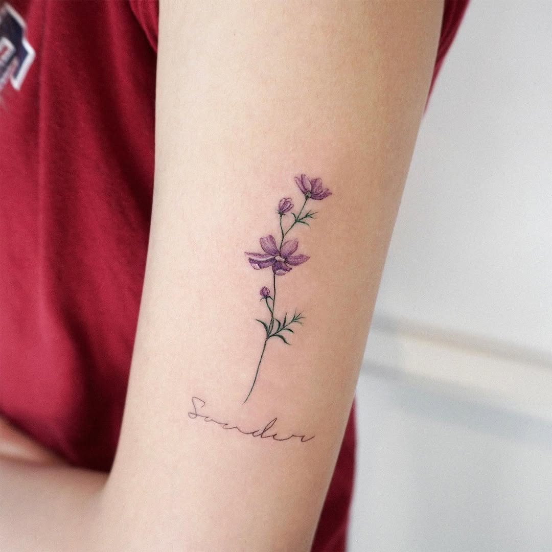 Flower, 라벤더, 허브, 야생화