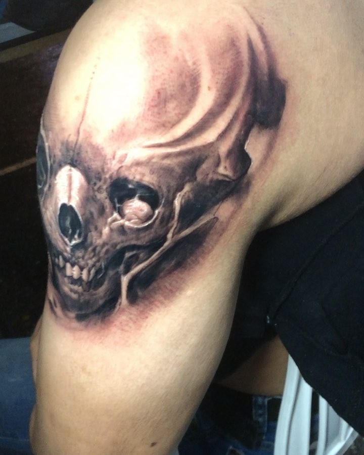 Skull