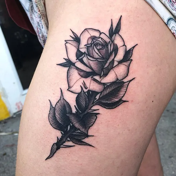 Flower, Rose