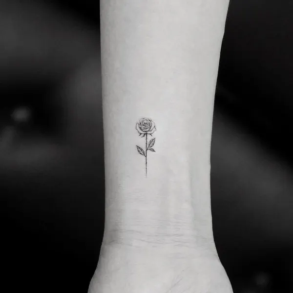Flower, Rose