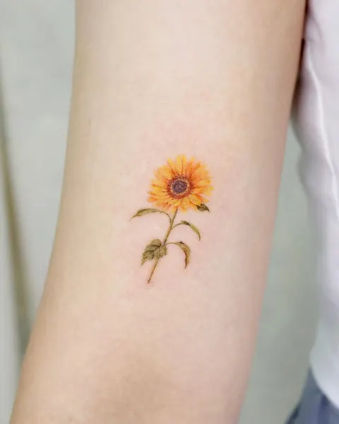 Flower, 해바라기