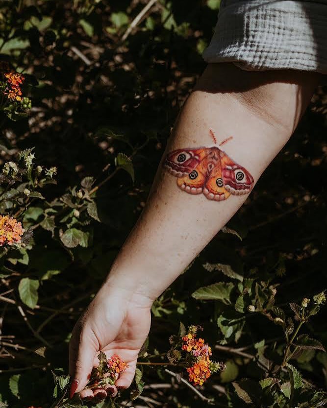Rose, Nature, Flower