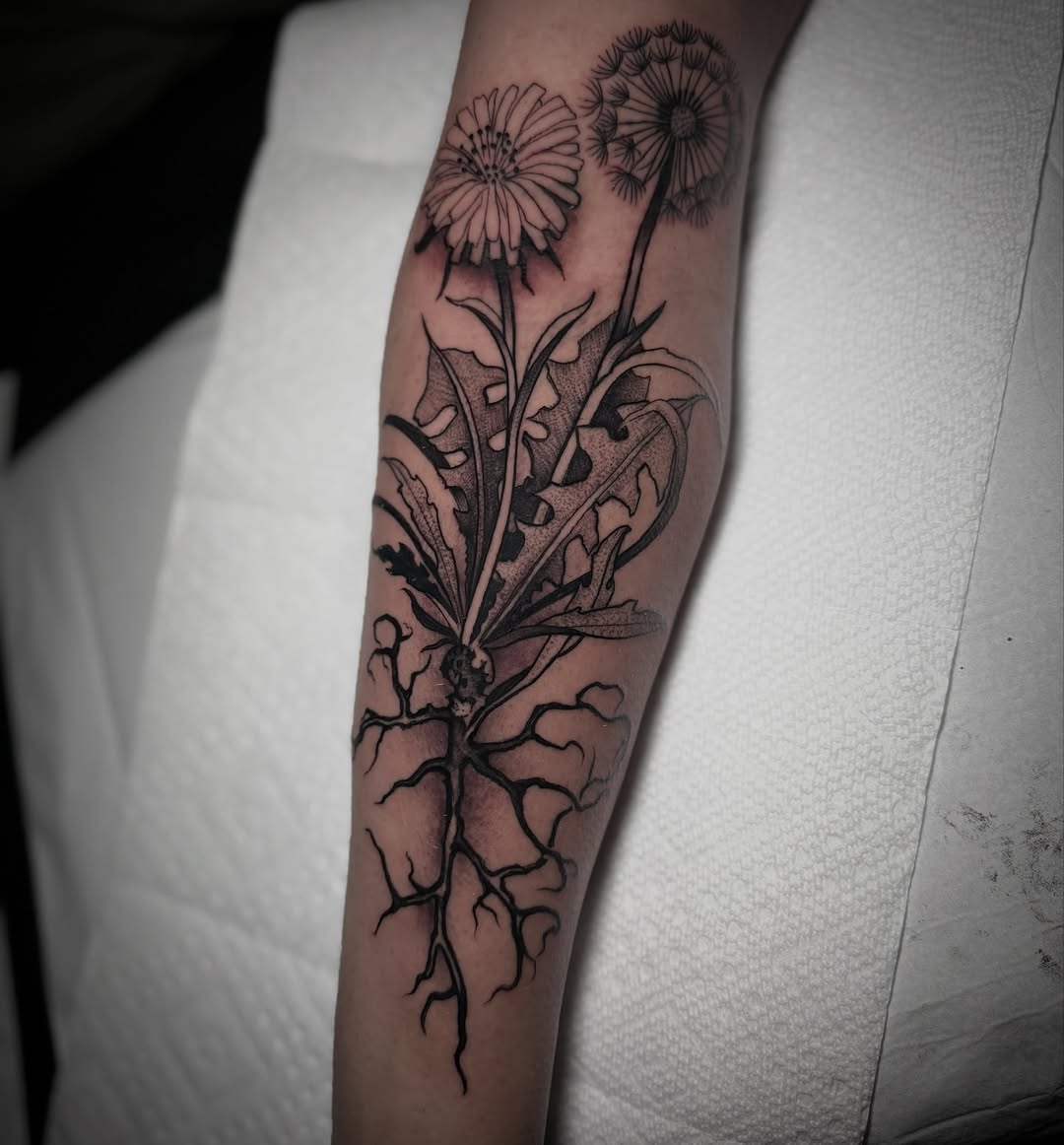 Flower, 해바라기