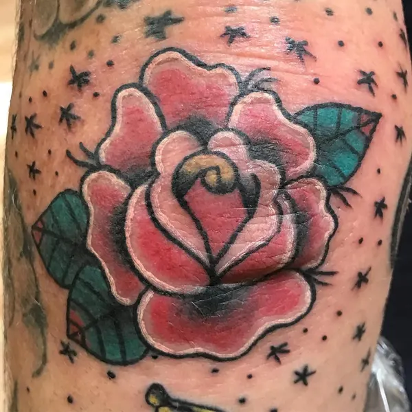 Flower, Rose