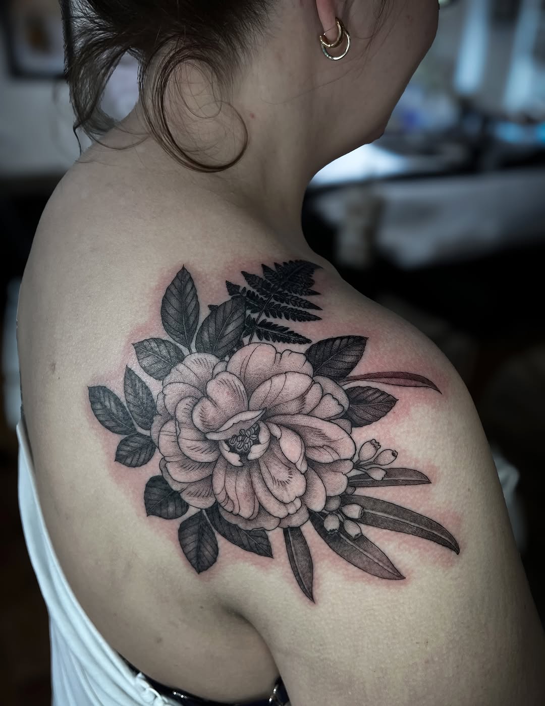 Flower, Rose, Nature