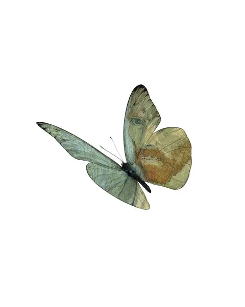 caotida