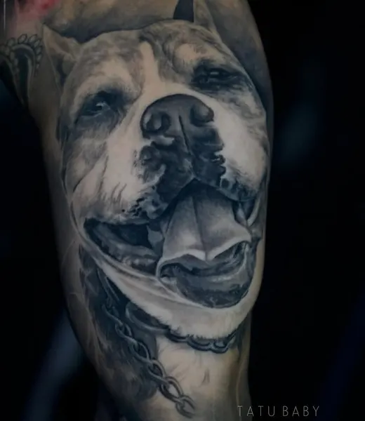 Tiger, Animal