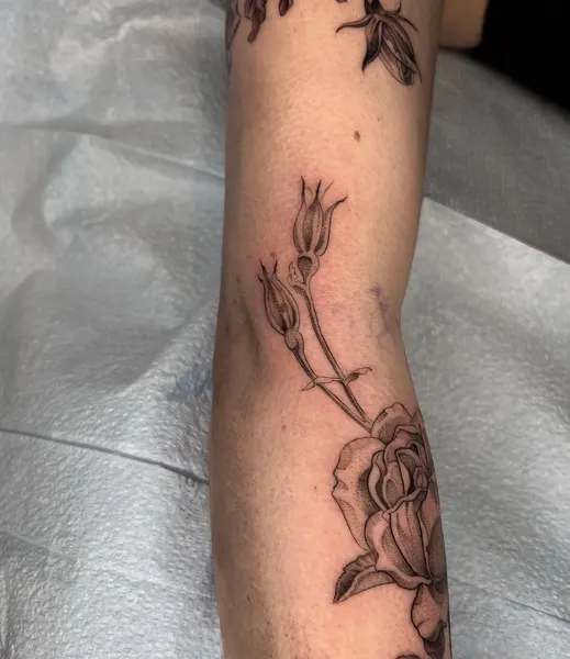 Flower, Rose