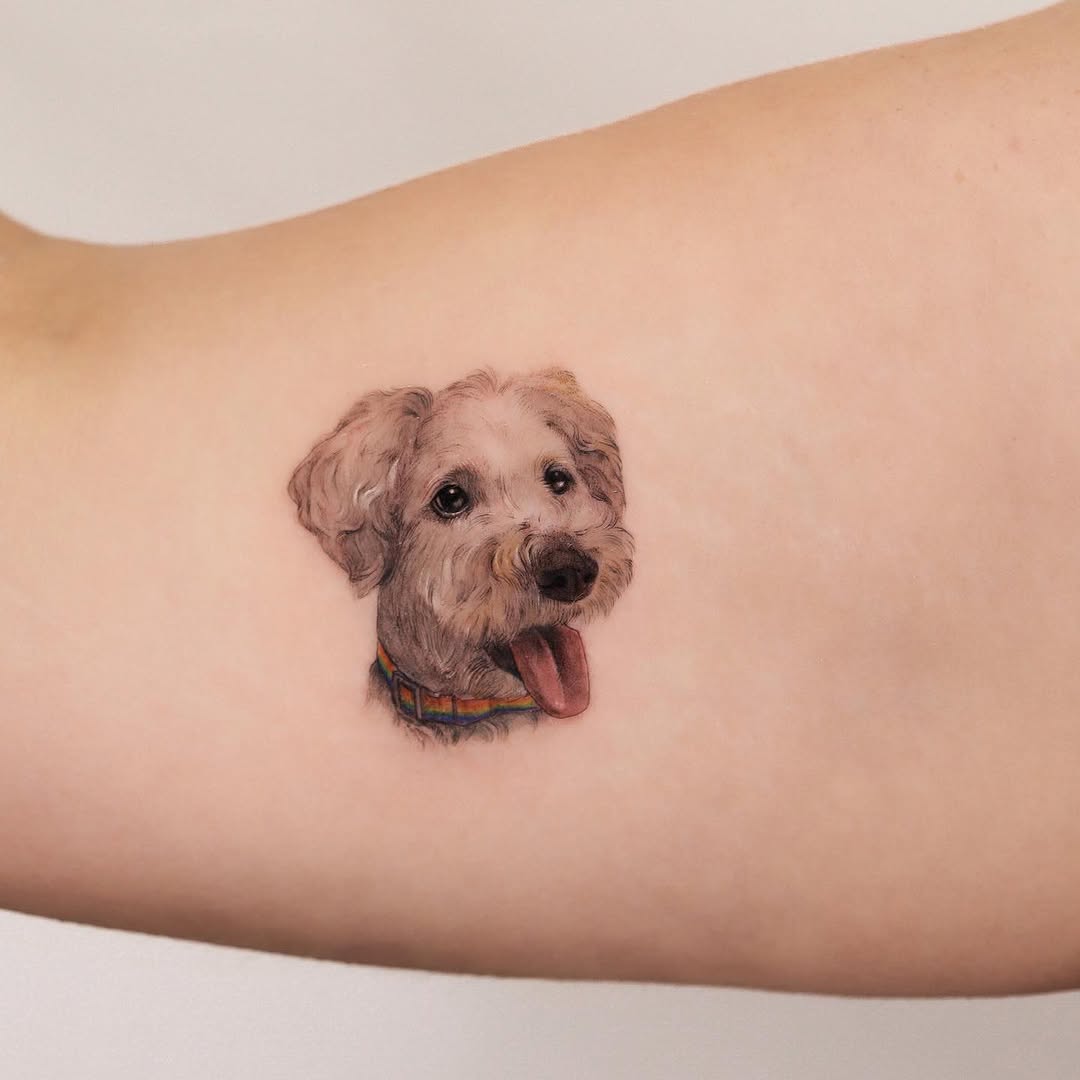Animal, Mini, 반려동물 추모, 반려동물