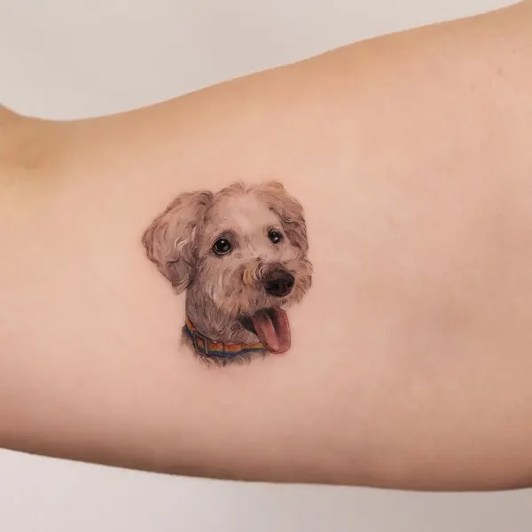Animal, Mini, 반려동물 추모, 반려동물