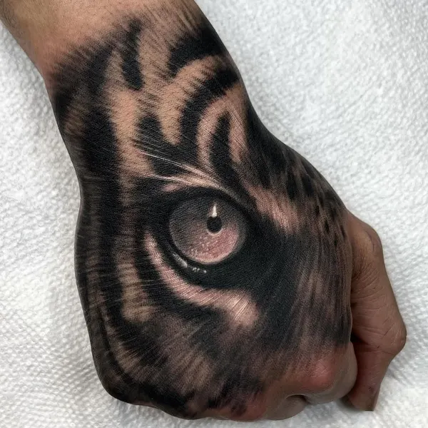 Tiger, 표범, 일본 호랑이, 중국 호랑이, 한국 호랑이, Animal, 발자국