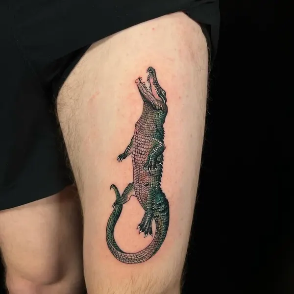 Dragon, 악어, 도마뱀