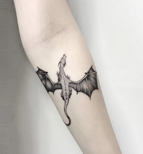 박쥐, Dragon