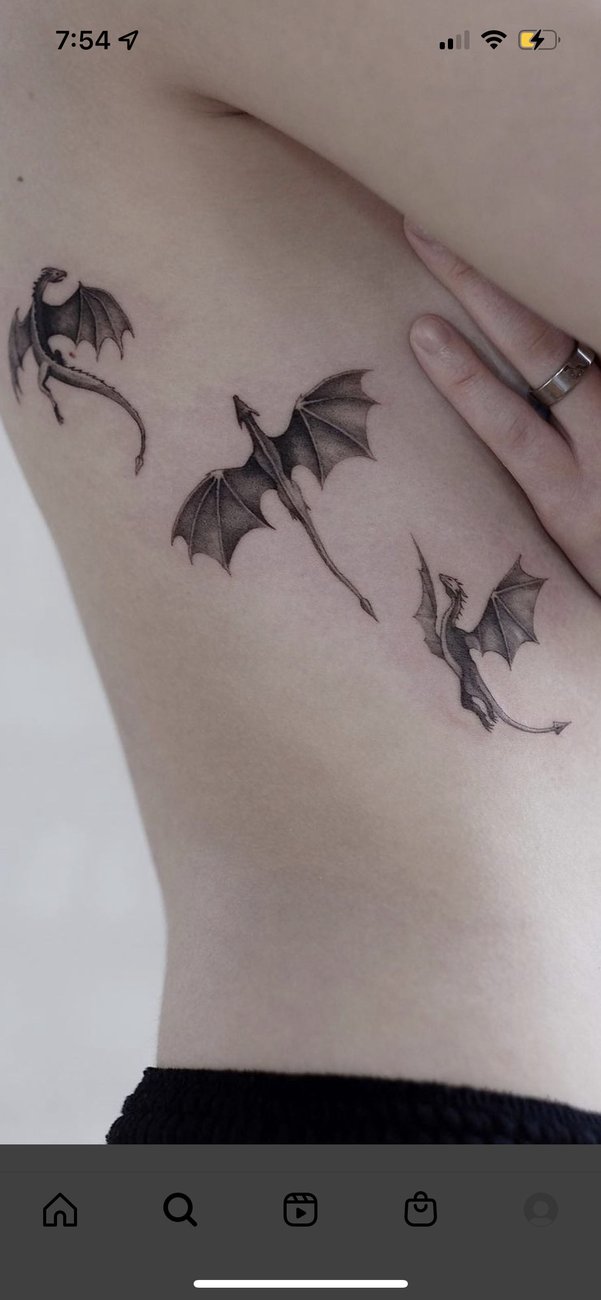 박쥐, Dragon