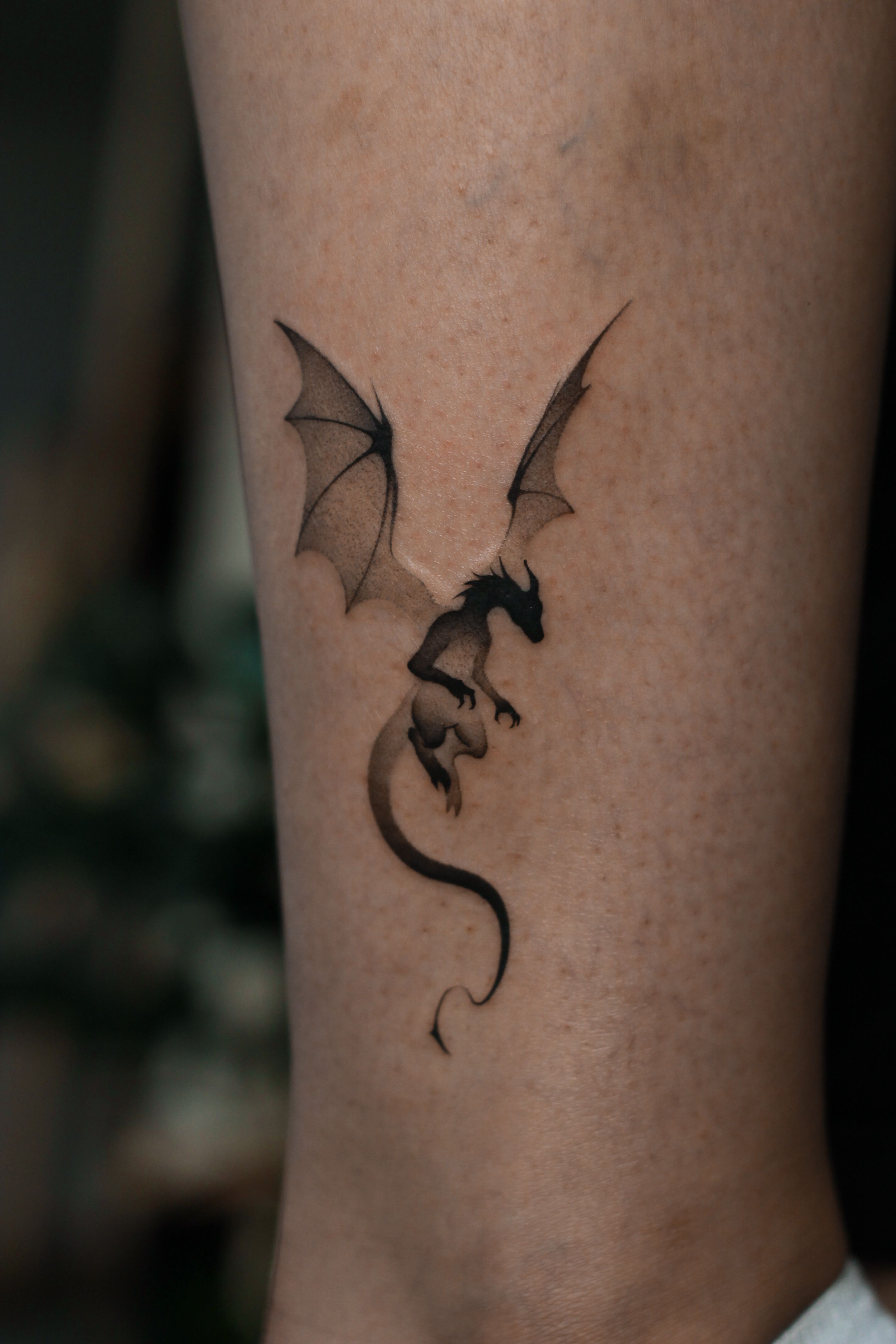 박쥐, Dragon, 전갈, 뱀파이어, 함사, 판타지