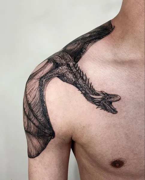 백조, Dragon