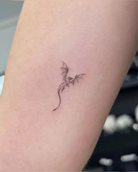 Dragon, 실루엣, 올리브 가지