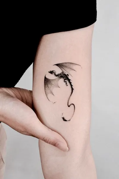 비, Dragon, 얼굴, 거울, 뇌신, 눈물, 그래픽, 붓터치, 실루엣, 아이리스, 다루마, 초현실, 오리엔탈, 이레즈미