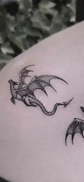 박쥐, Dragon, 드래곤 라이더