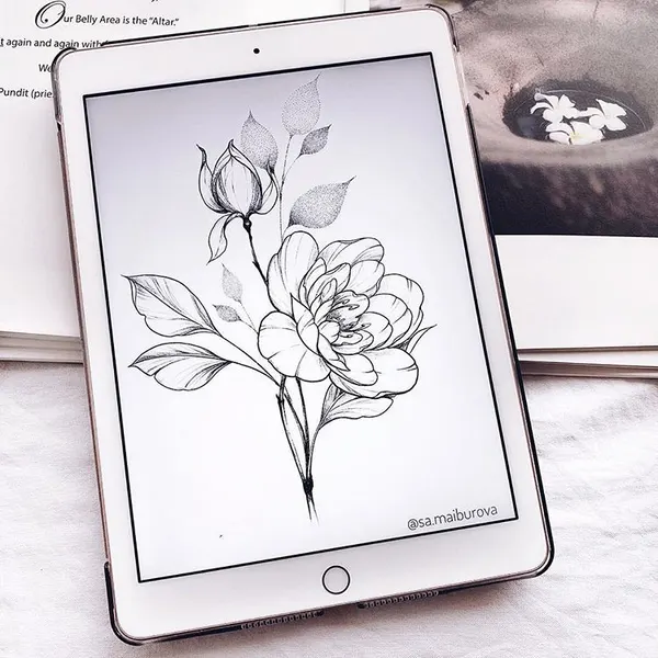 Flower, Rose