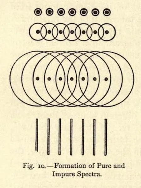 Pattern