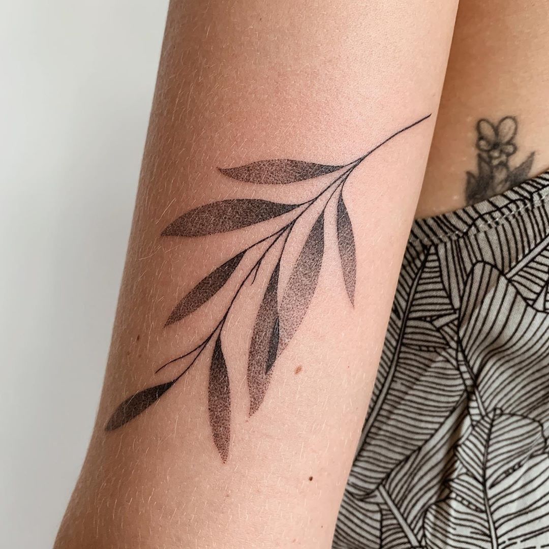 Flower, 잎, 풀, 허브, 고사리, 단풍잎, 대나무, 은행잎
