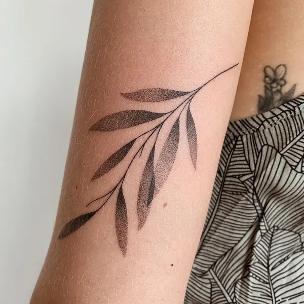 Flower, 잎, 풀, 허브, 고사리, 단풍잎, 대나무, 은행잎