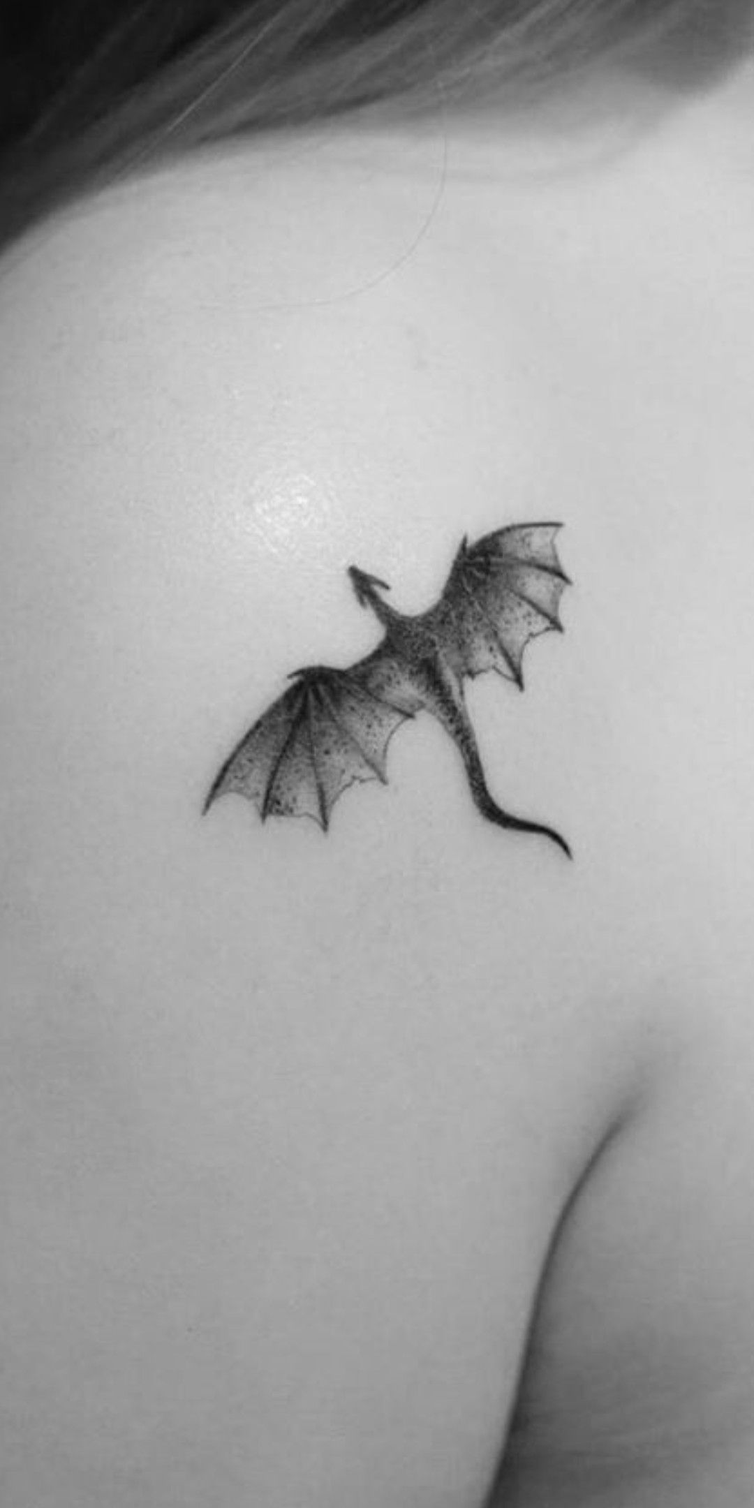박쥐, Dragon