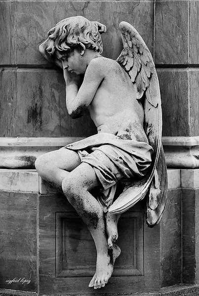 koyoliew / angel tattoos