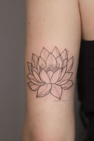 Flower, 목련, 연꽃, 국화, 수선화, 탄생화, 연꽃 문양, 한국 연꽃, 연꽃 만다라