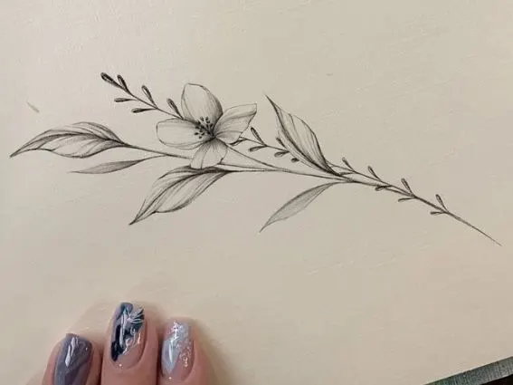Flower, Rose