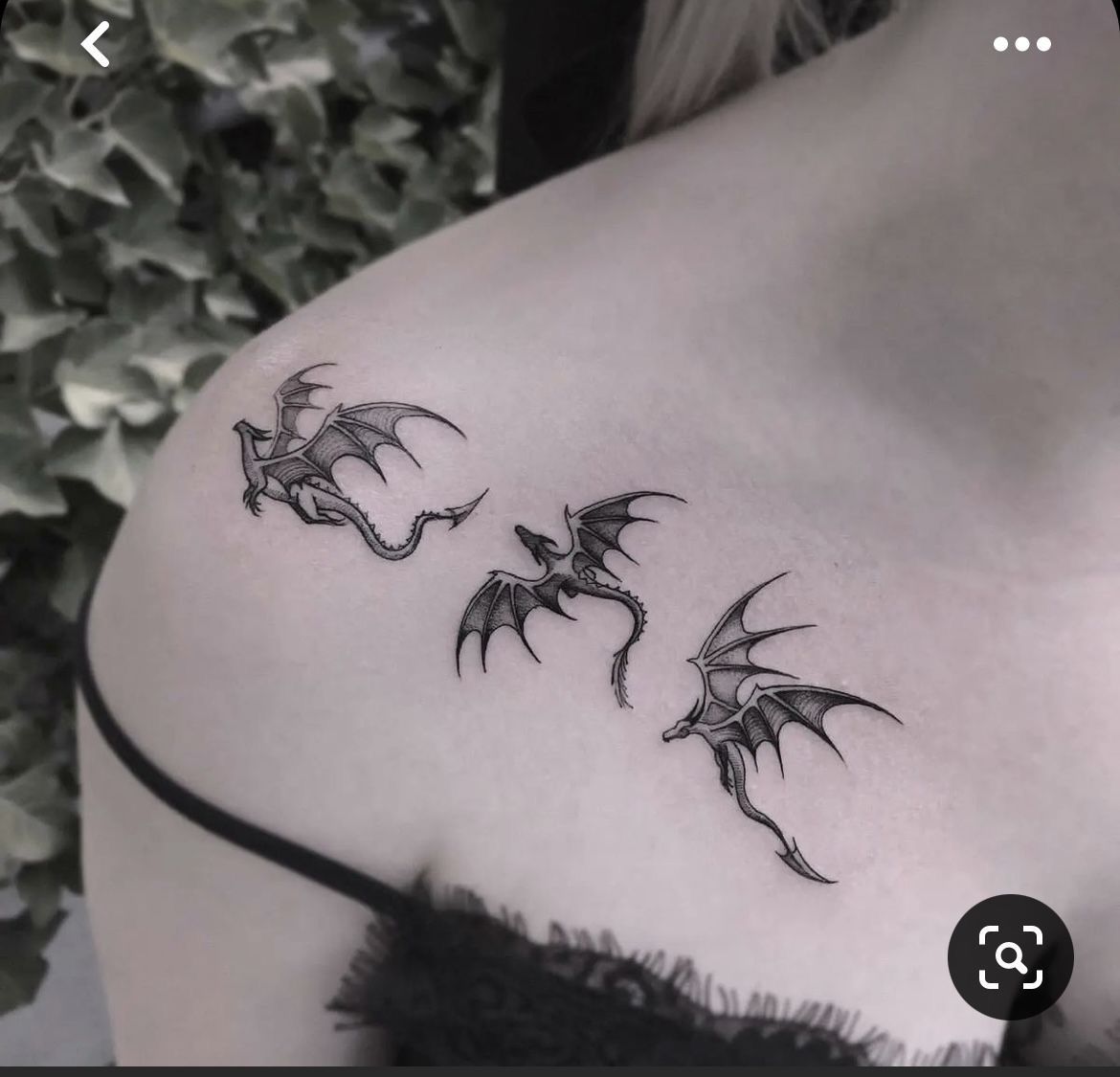 Dragon, 덩굴