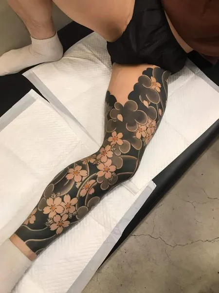 Dragon, Animal