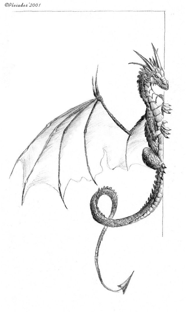 Dragon Tattoos ideas