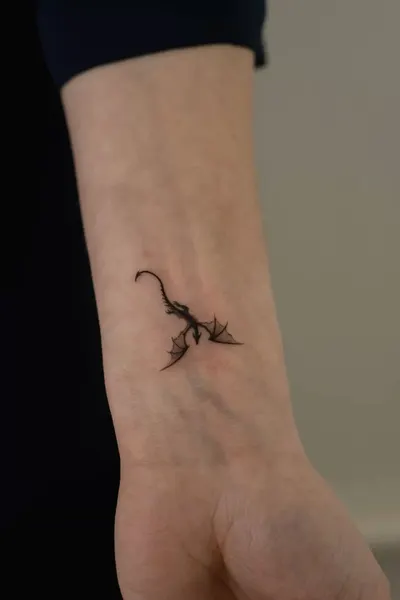 개미, Dragon, 전갈, 도마뱀, 지네