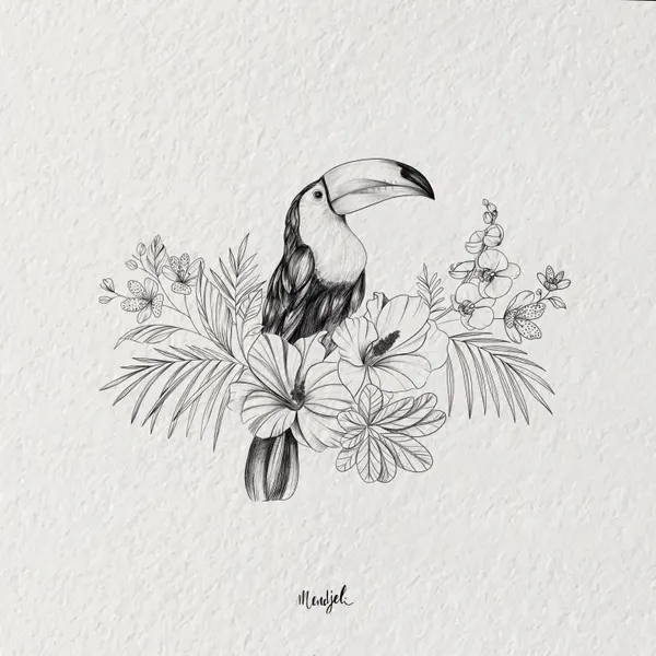 Flower, Animal, Nature