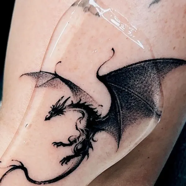 박쥐, Dragon