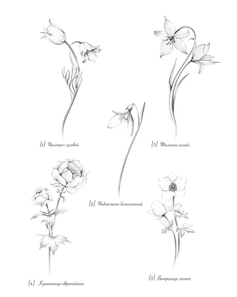 flowers tattoo