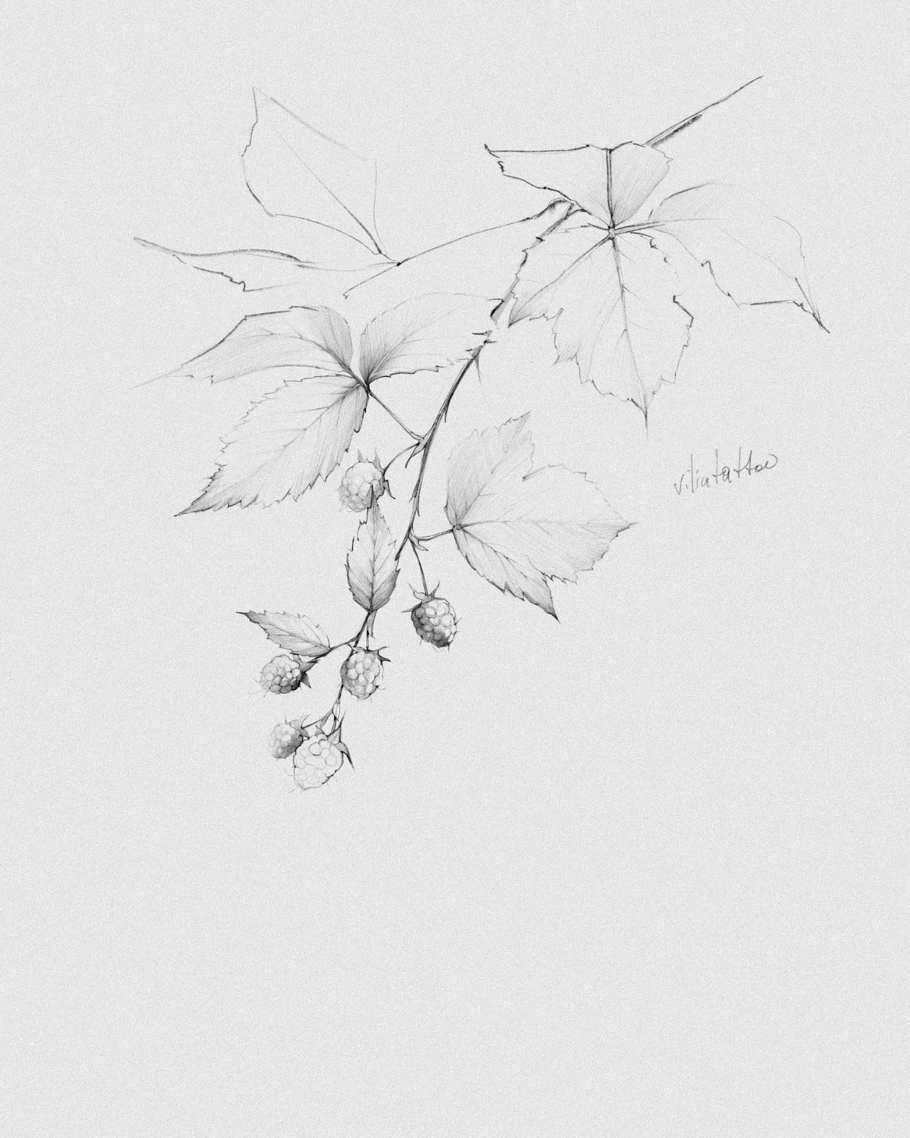 flowers tattoo